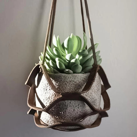 Buy Plant Hanger