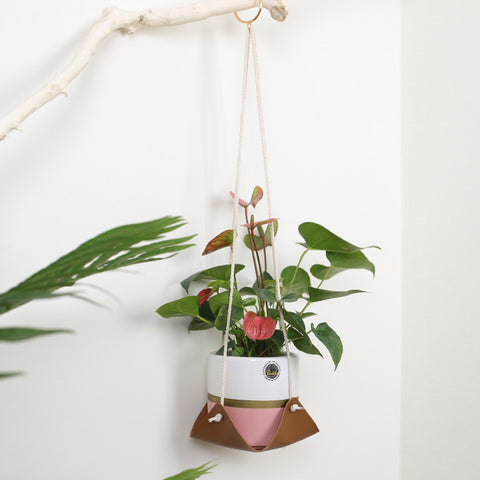 Plant Hangers Online